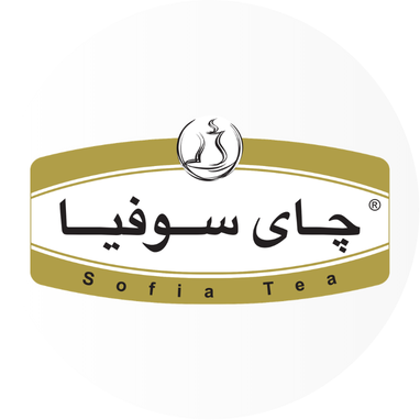 لوگو نگین صنعتی جنوب منطقه آزاد چابهار
